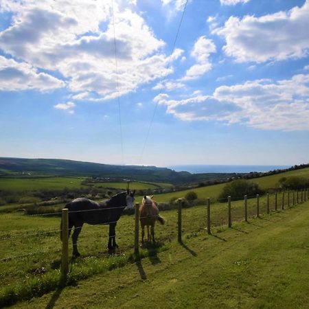 1 Bed In Boscastle Lpencヴィラ エクステリア 写真