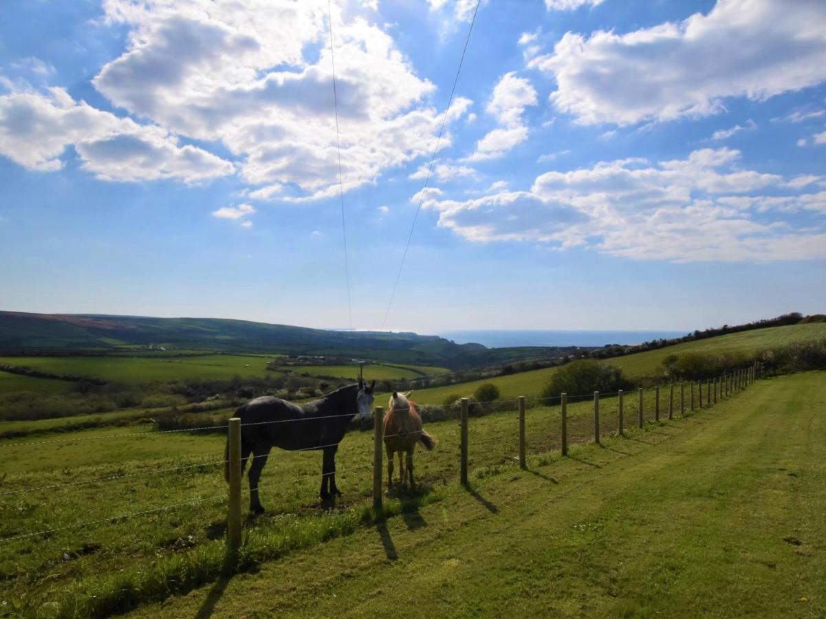 1 Bed In Boscastle Lpencヴィラ エクステリア 写真
